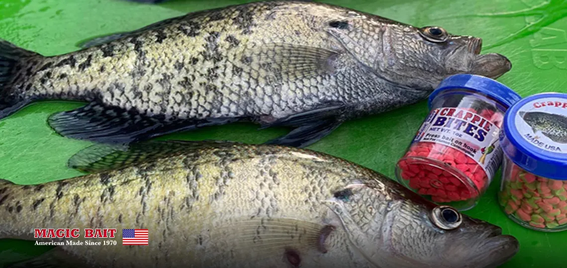 crappie bites magic bait